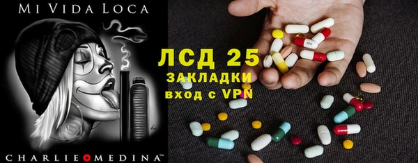 PSILOCYBIN Каменка