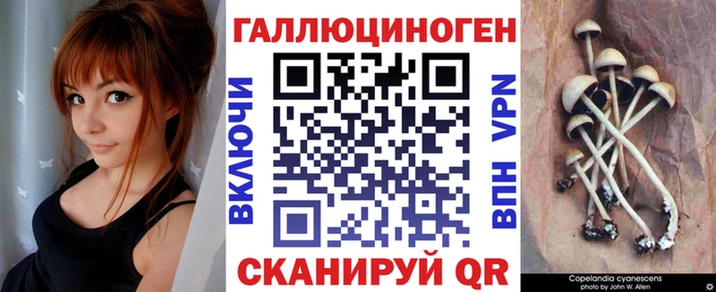 Купить где  Лениногорск  Псилоцибиновые грибы мицелий 